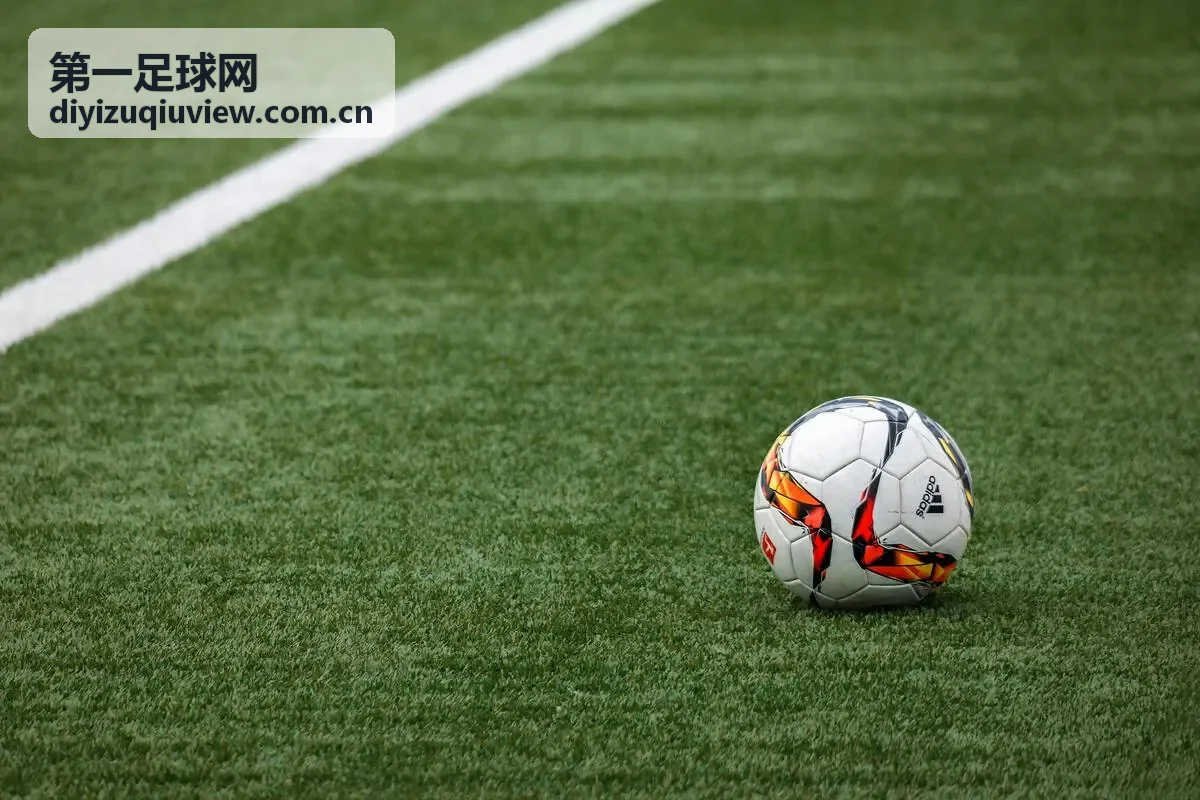 第一足球网欧冠四强数据画像分析
